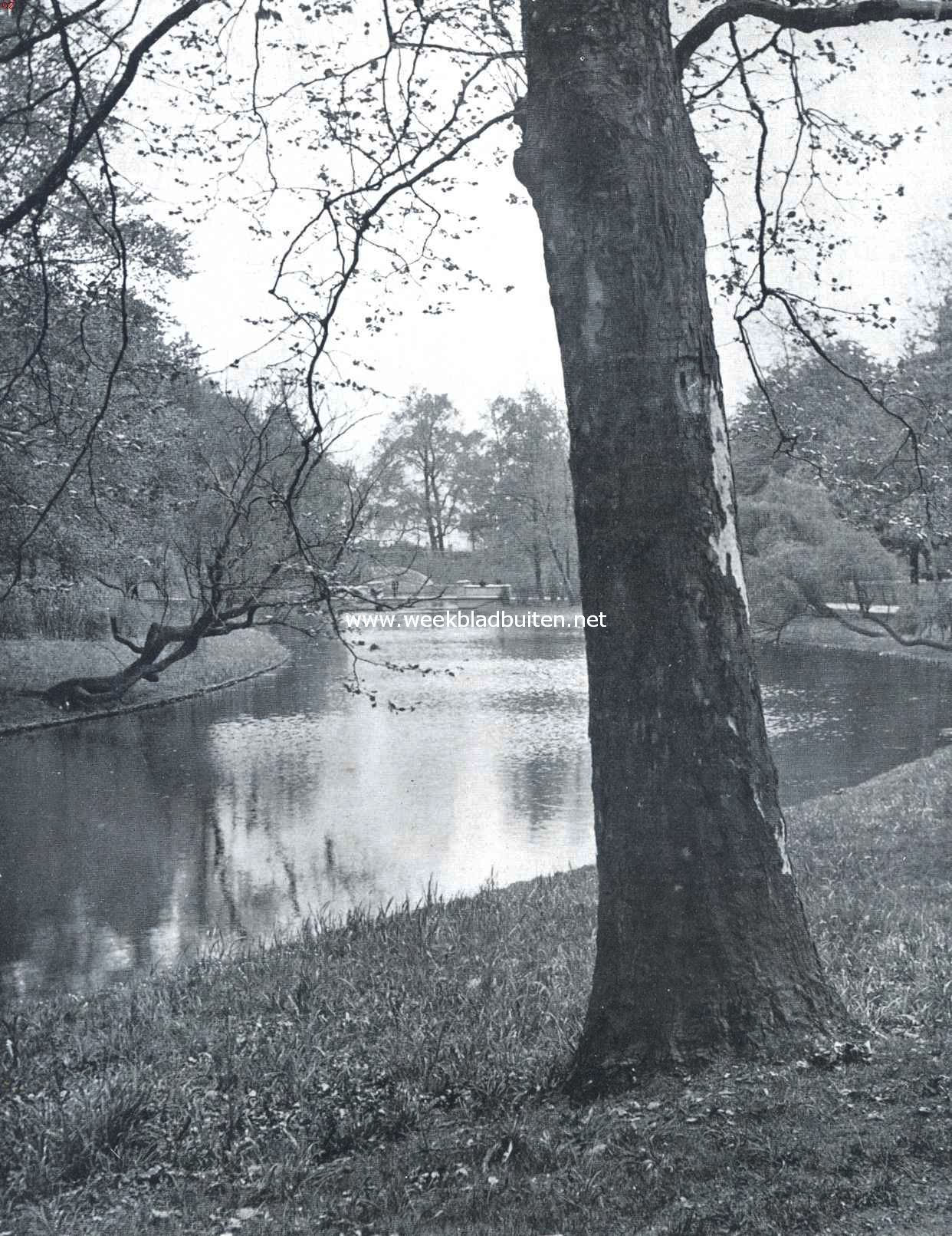 Lente aan de plas