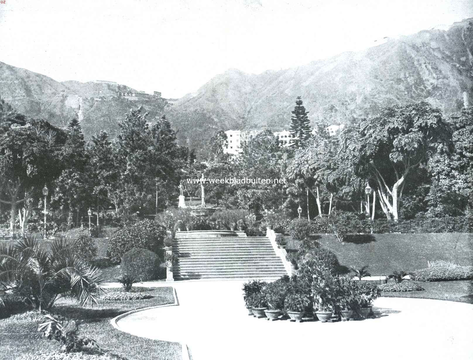Hongkong. De Public Gardens