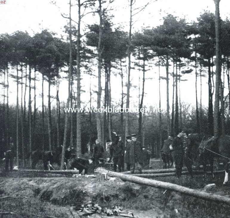Oefening in het slaan van een brug over de Mark. 1. Het vellen der boomen in het Mastbosch
