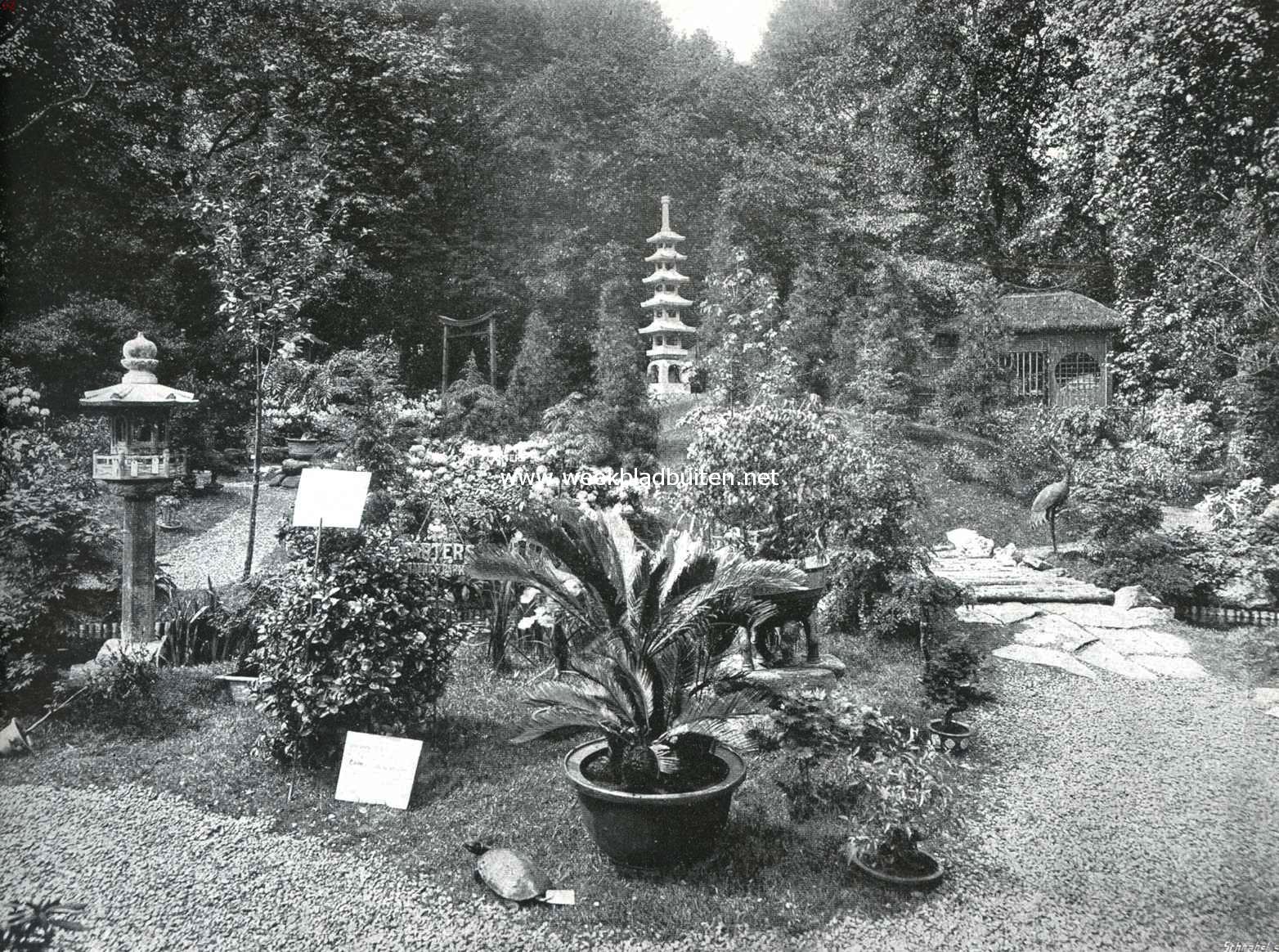 De Internationale Tuinbouwtentoonstelling te Londen. Een der z.g.n. Japansche tuinen