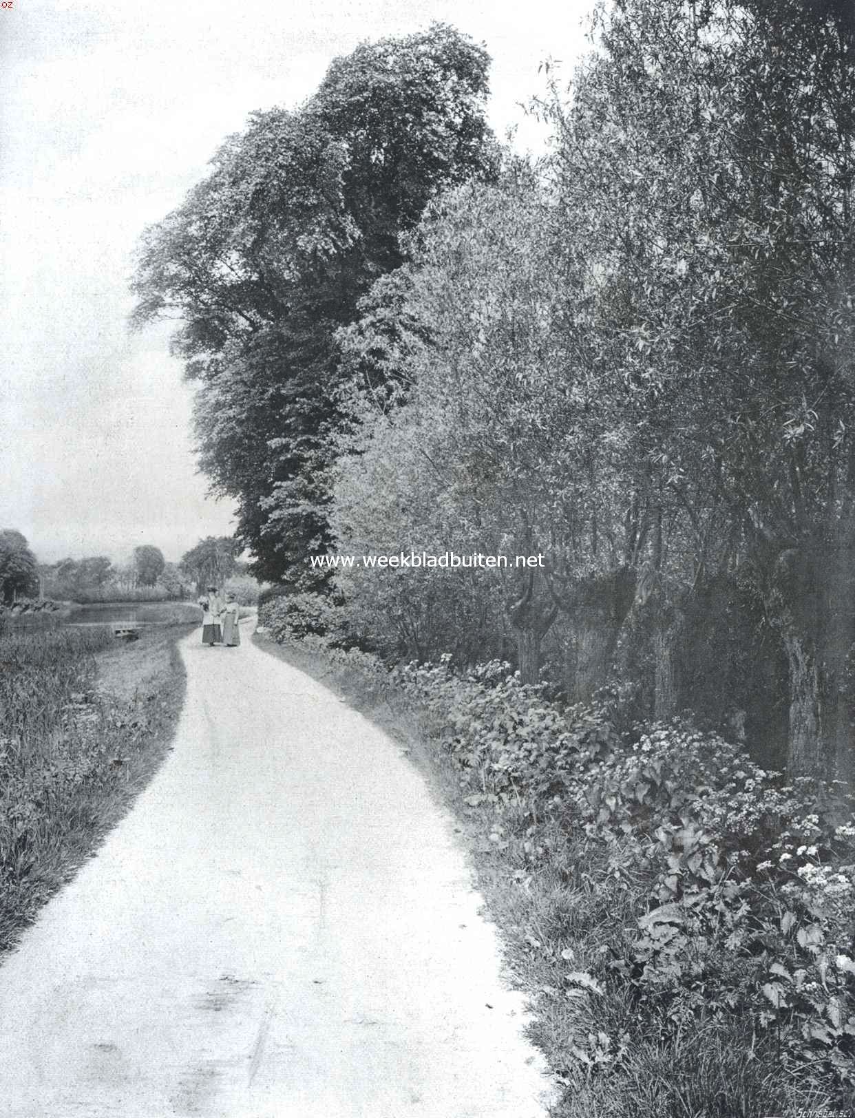Het Gein bij de Vink in Mei