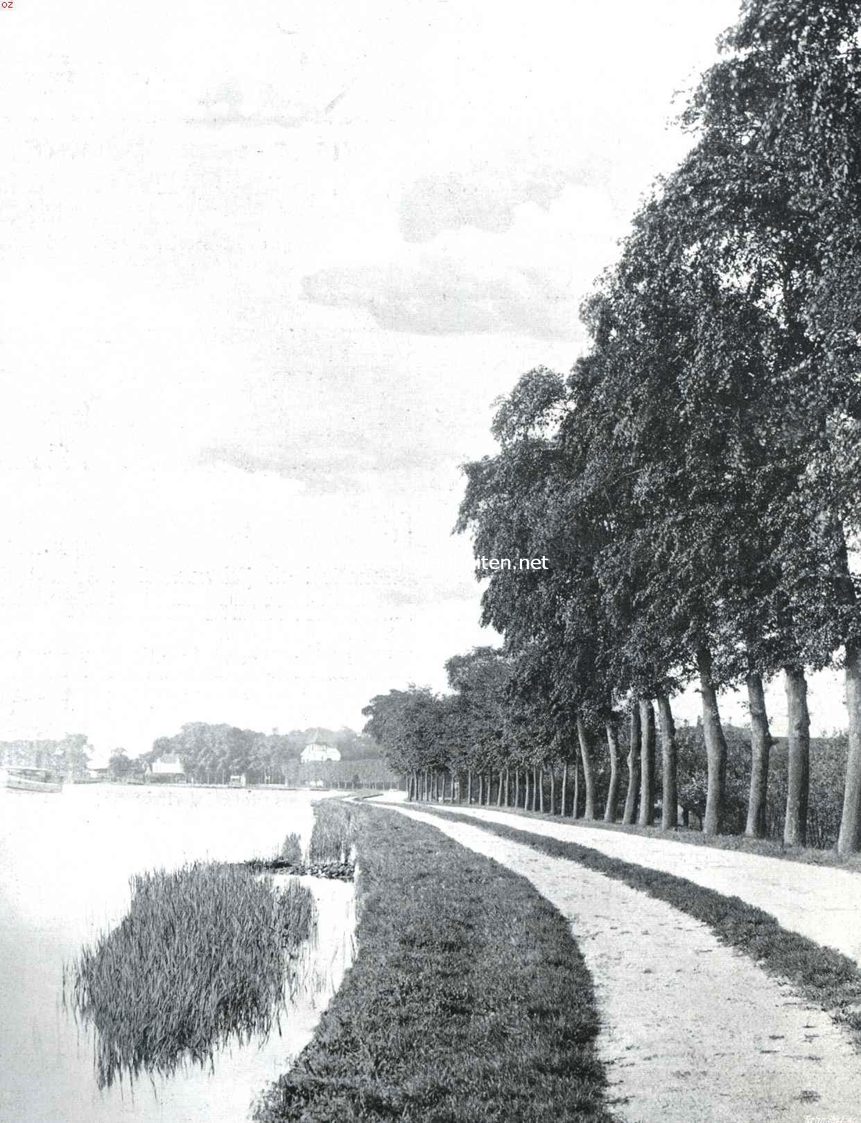 Gezicht op de bocht van den Amstel bij het Kalfje