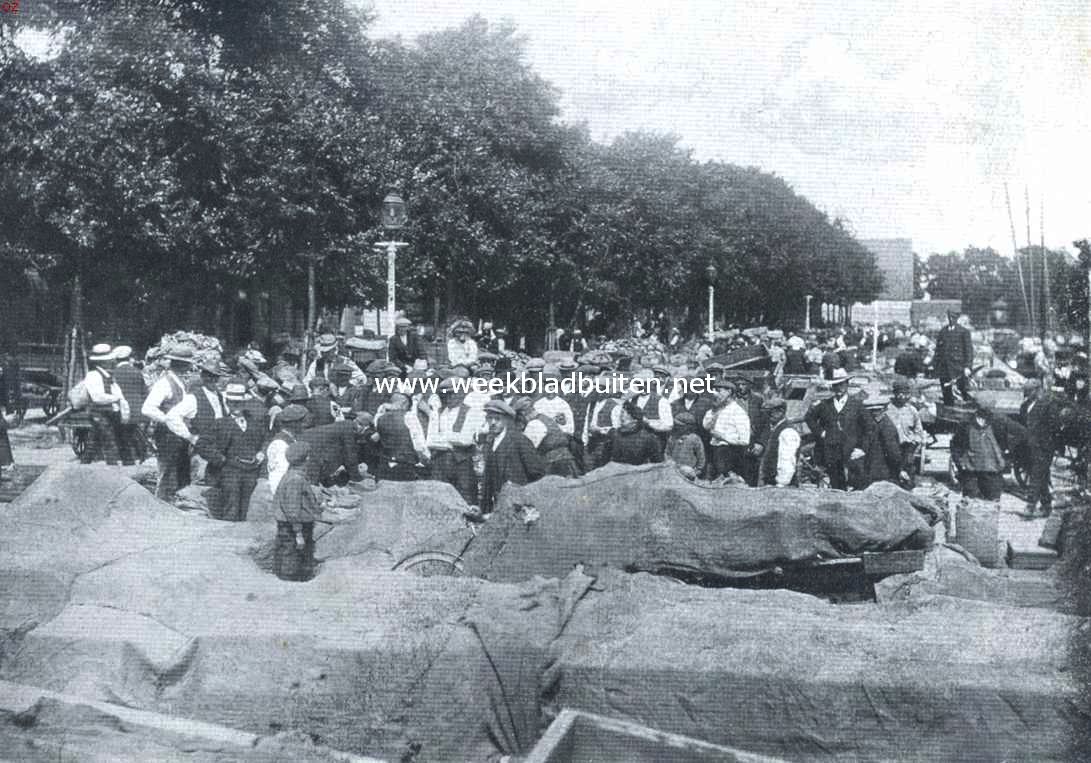 Berverwijk en zijn tuinbouw. Beverwijk. De Groentenmarkt