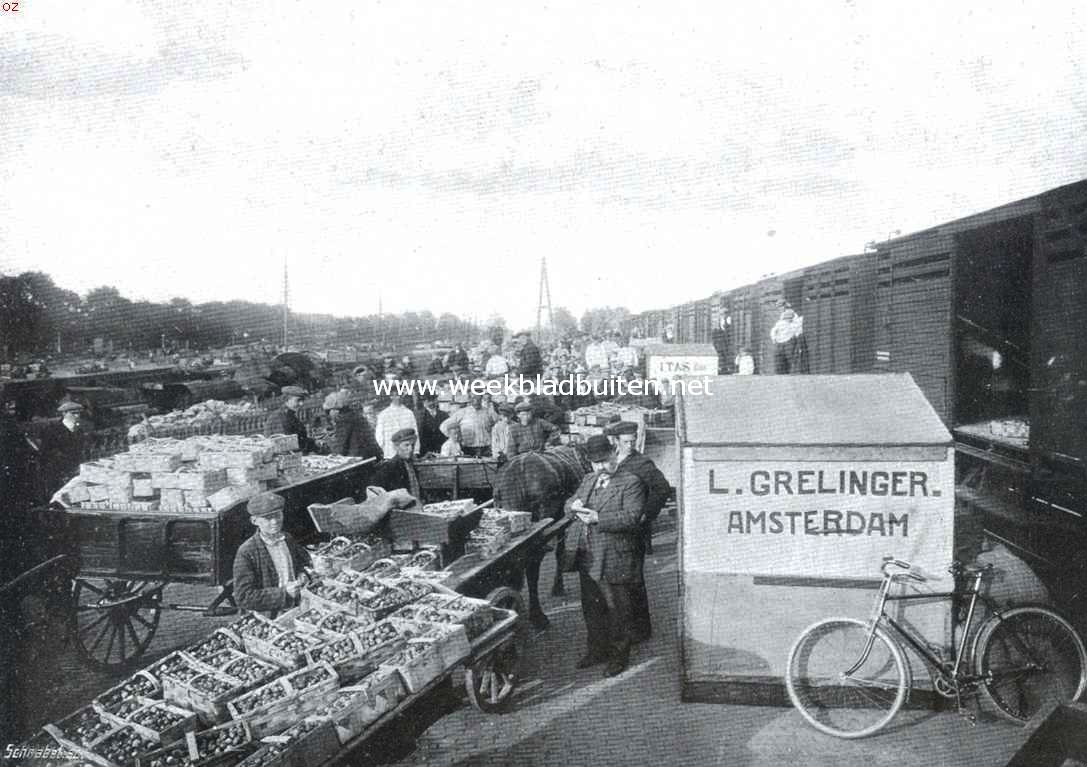 Berverwijk en zijn tuinbouw. Beverwijk. Transport van de aardbeien