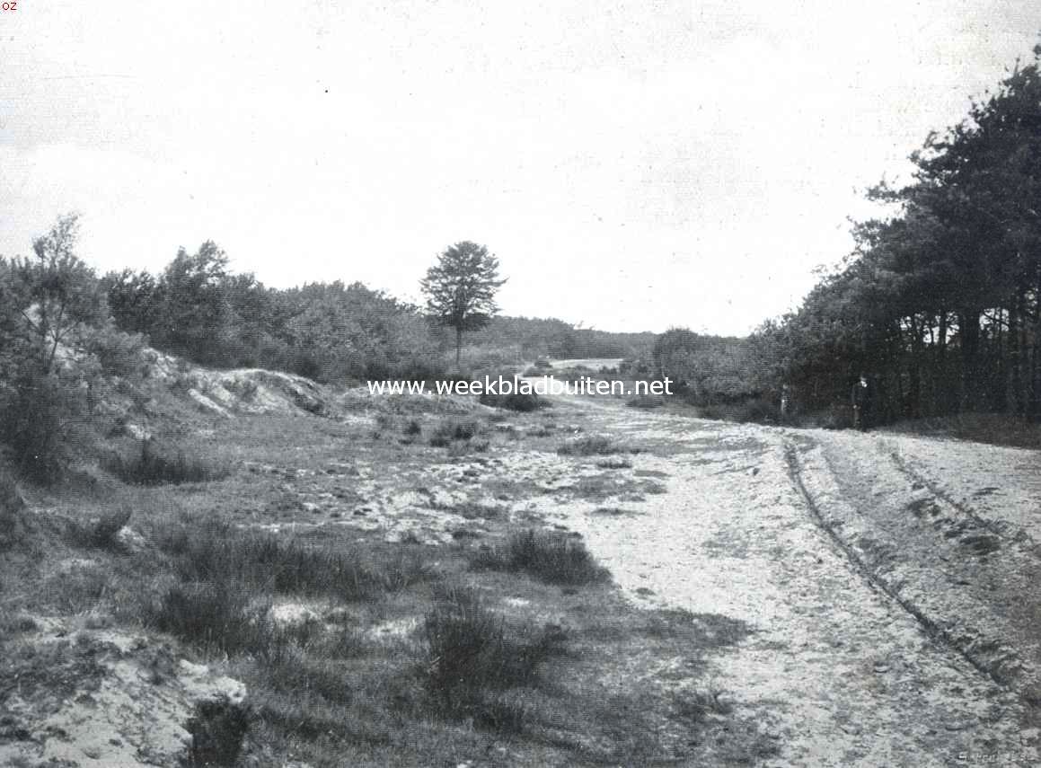 Het Huis Nieuwenbroeck onder Beesel (L.). In de omgeving van het Huis Nieuwenbroeck onder Beesel (L.)