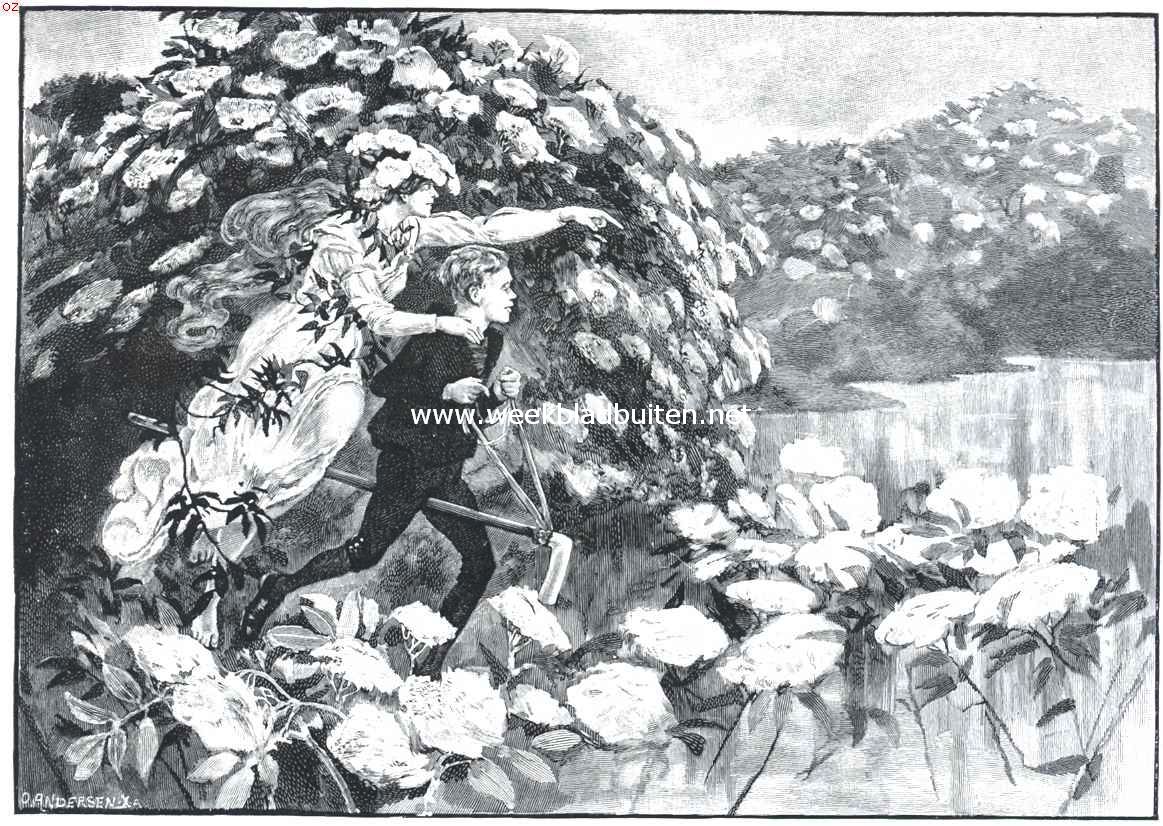 Andersen en zijn sprookjes. En altijd door op de geheele reis geurden de vlierbloesems.
