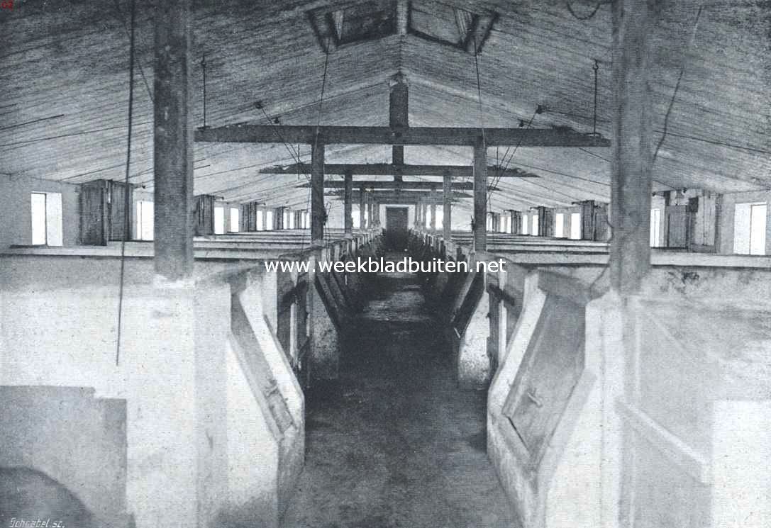 Landgoed Johanna-Hoeve. De varkensstal
