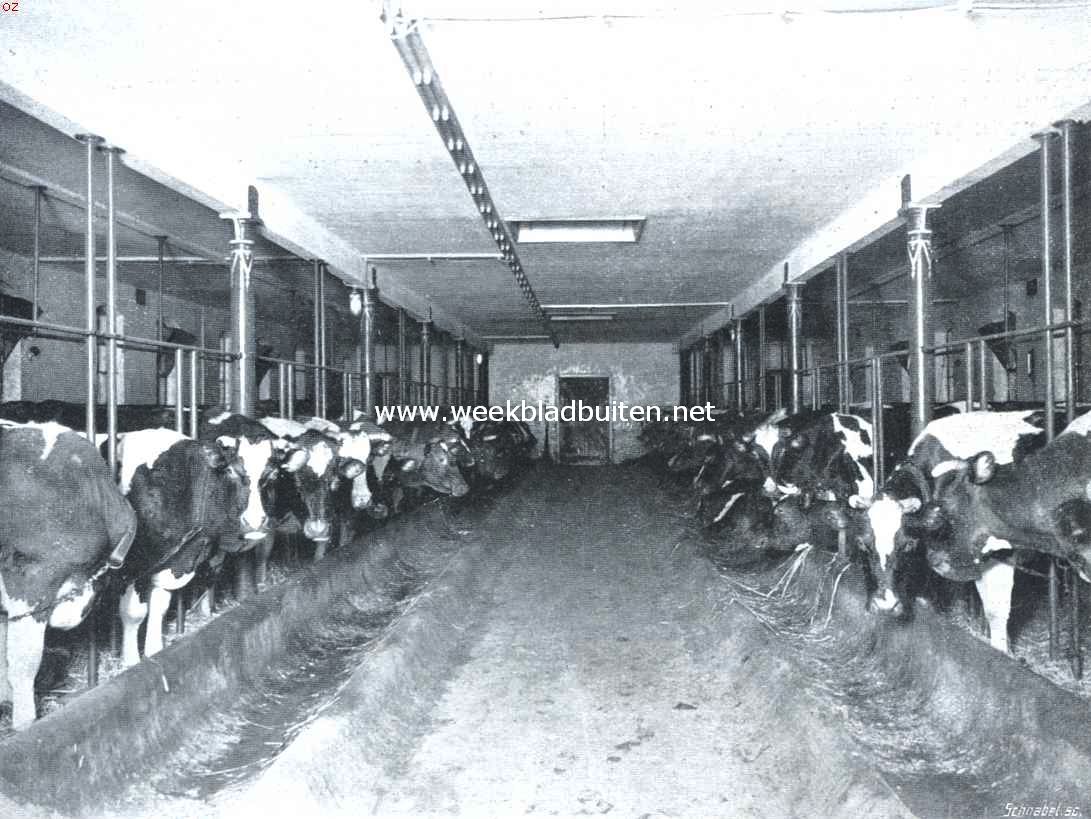 Landgoed Johanna-Hoeve. De koestal