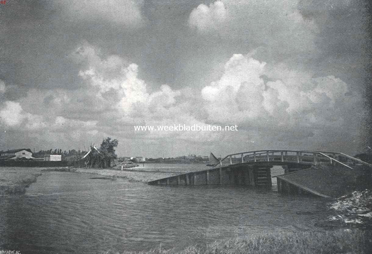 Het natuurschoom om Amsterdam. Bij den Schinkel
