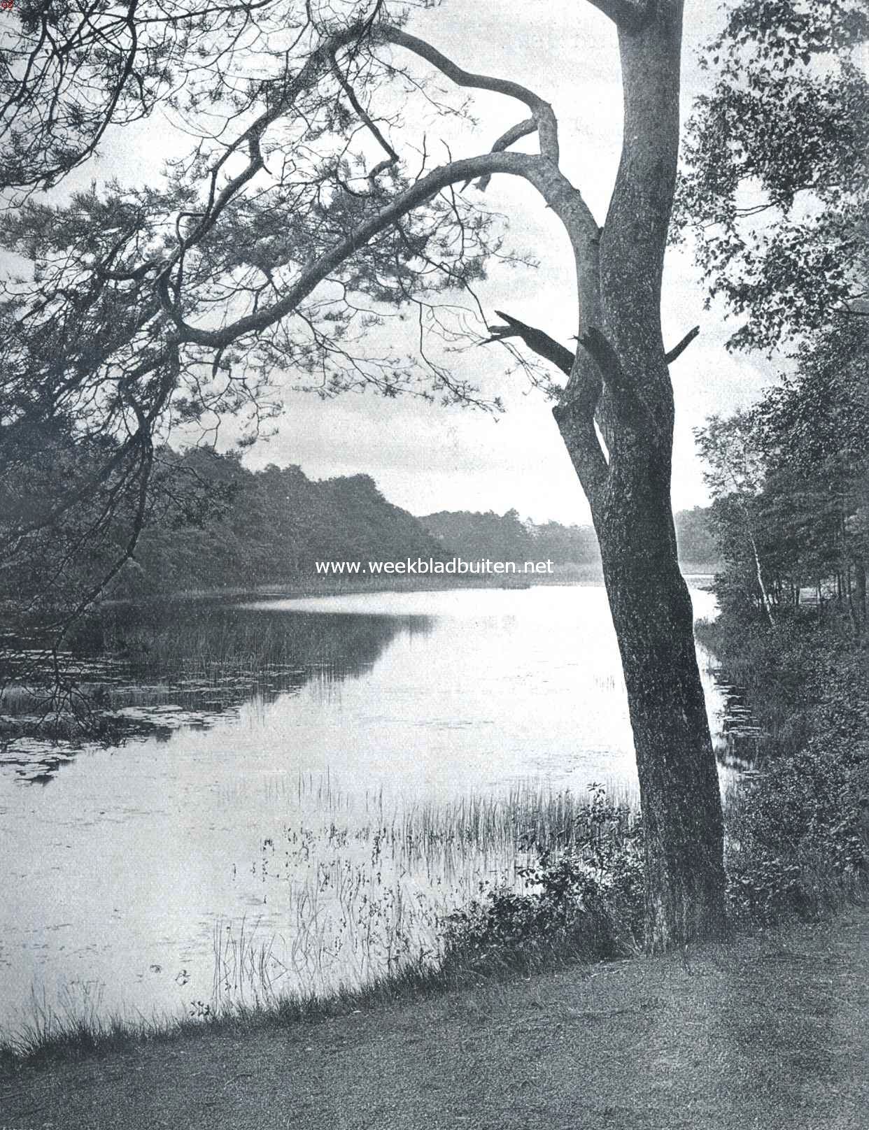 Het van Esschen-ven bij Oisterwijk (N.-Br.)