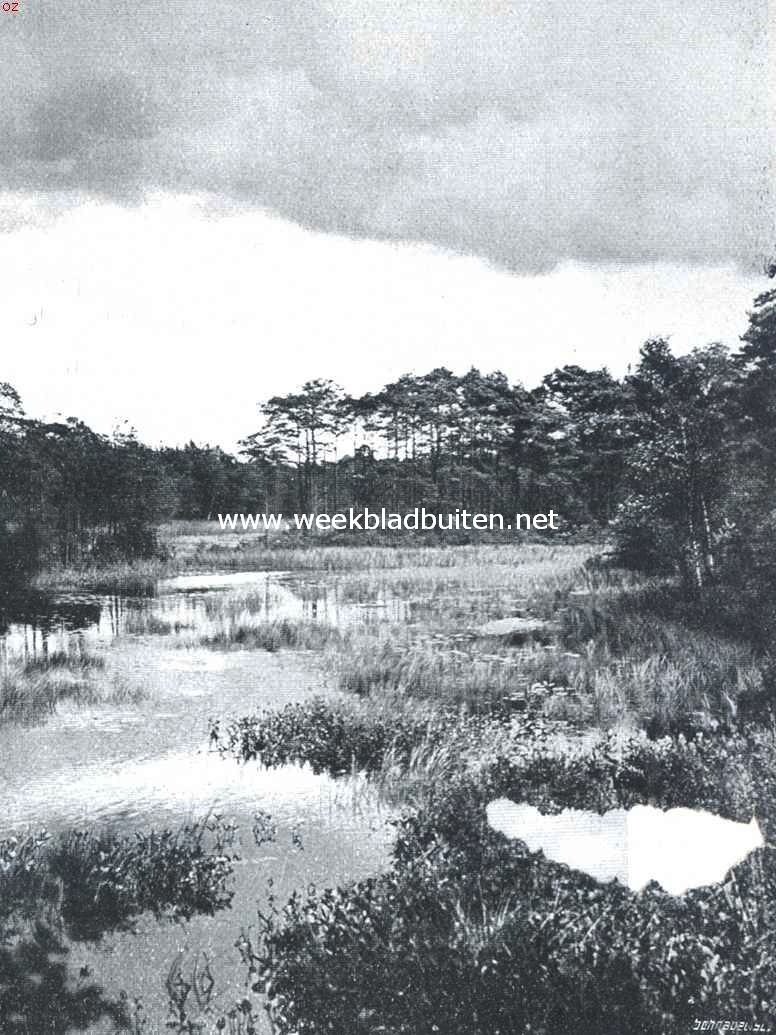Het Land der Vennen. Het Choorven bij Oisterwijk