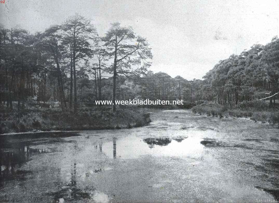 Het Land der Vennen. Het van Esschenven bij Oisterwijk