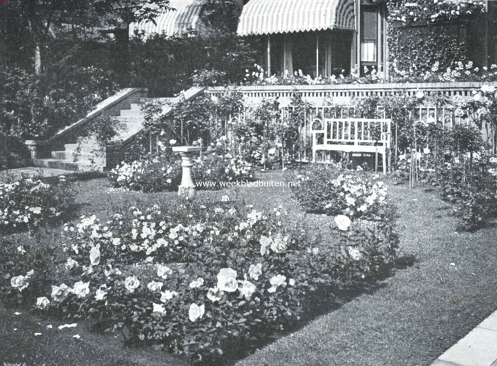 Een mooi tuinontwerp. De rozentuin, gezicht op het huis