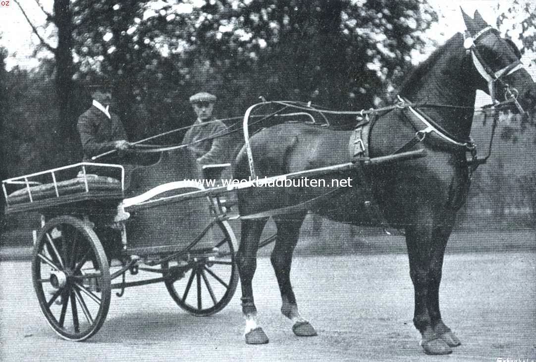 De geschiedenis van het paard. Zwaar tuigpaard voor de dresseerkar