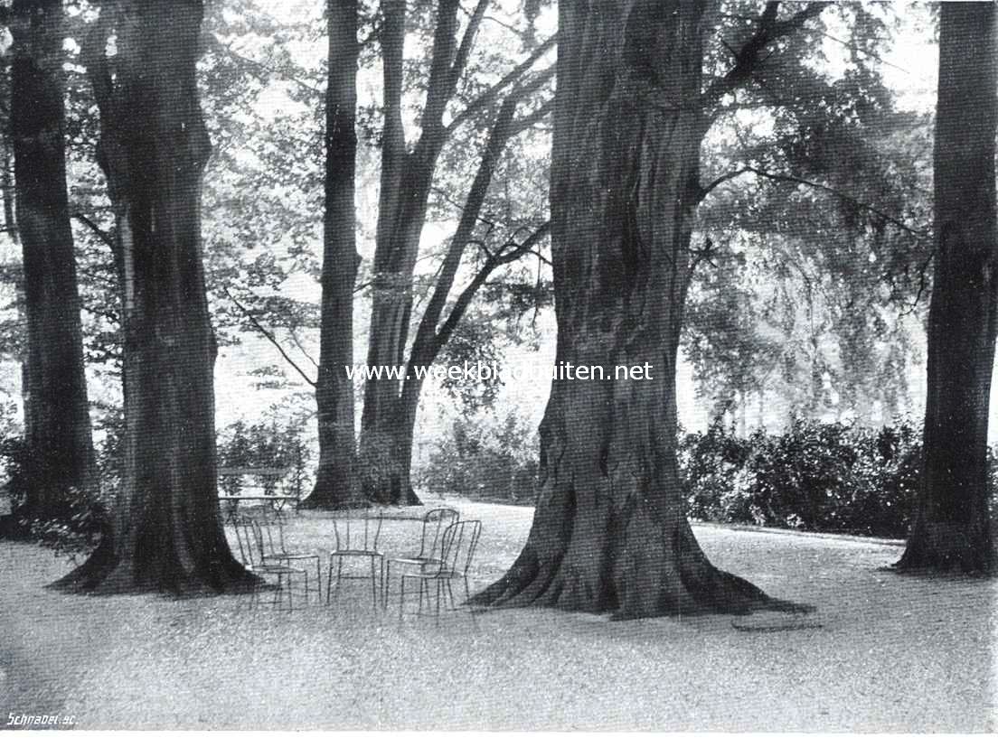Het slot van Zeist. Boomgroep in het slotpark