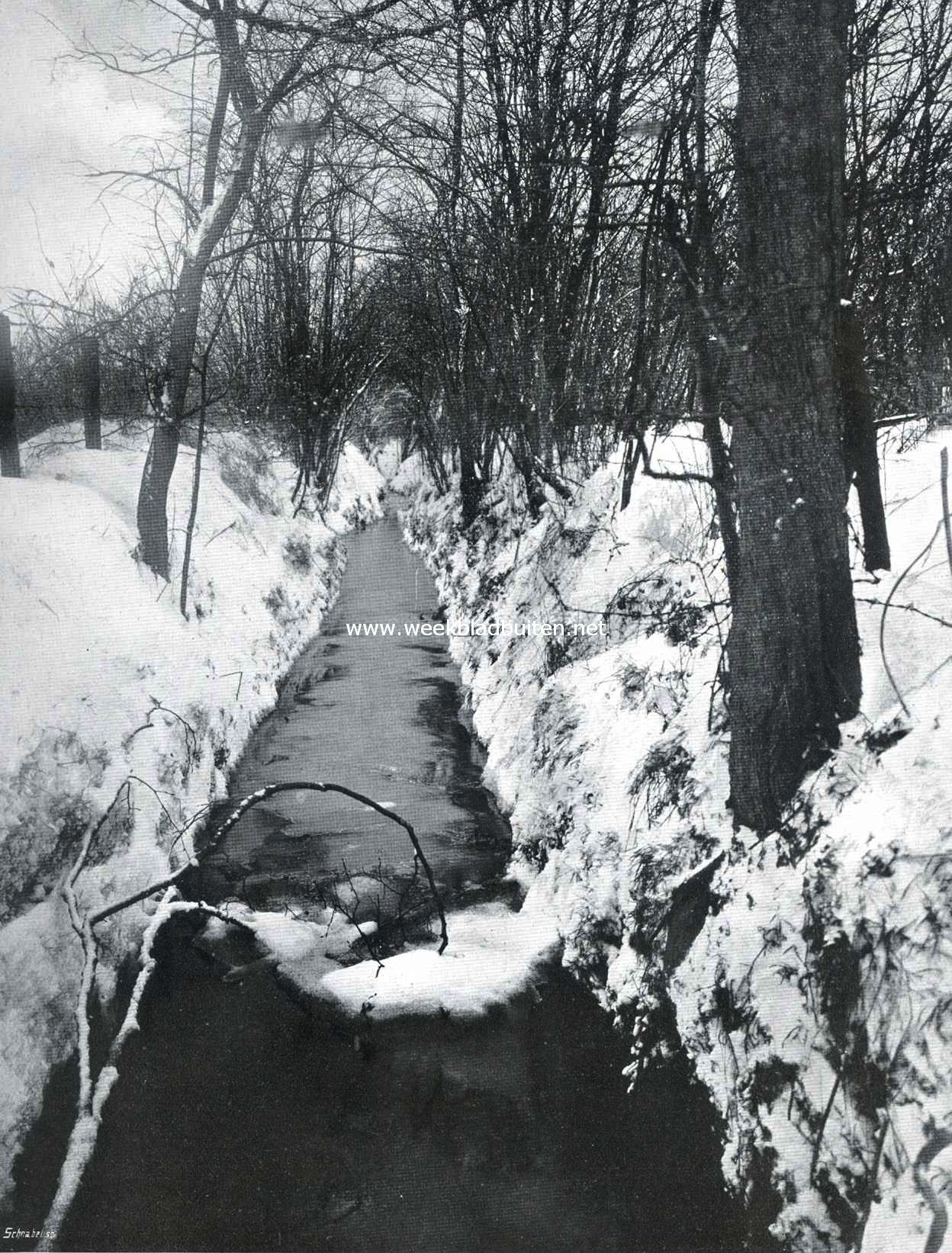 Beekje bij Santpoort op een winterdag