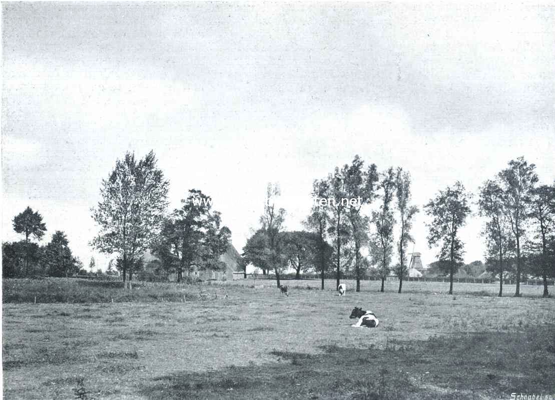 Kijkjes in Drenthe. Dorpsgezicht te Gieten