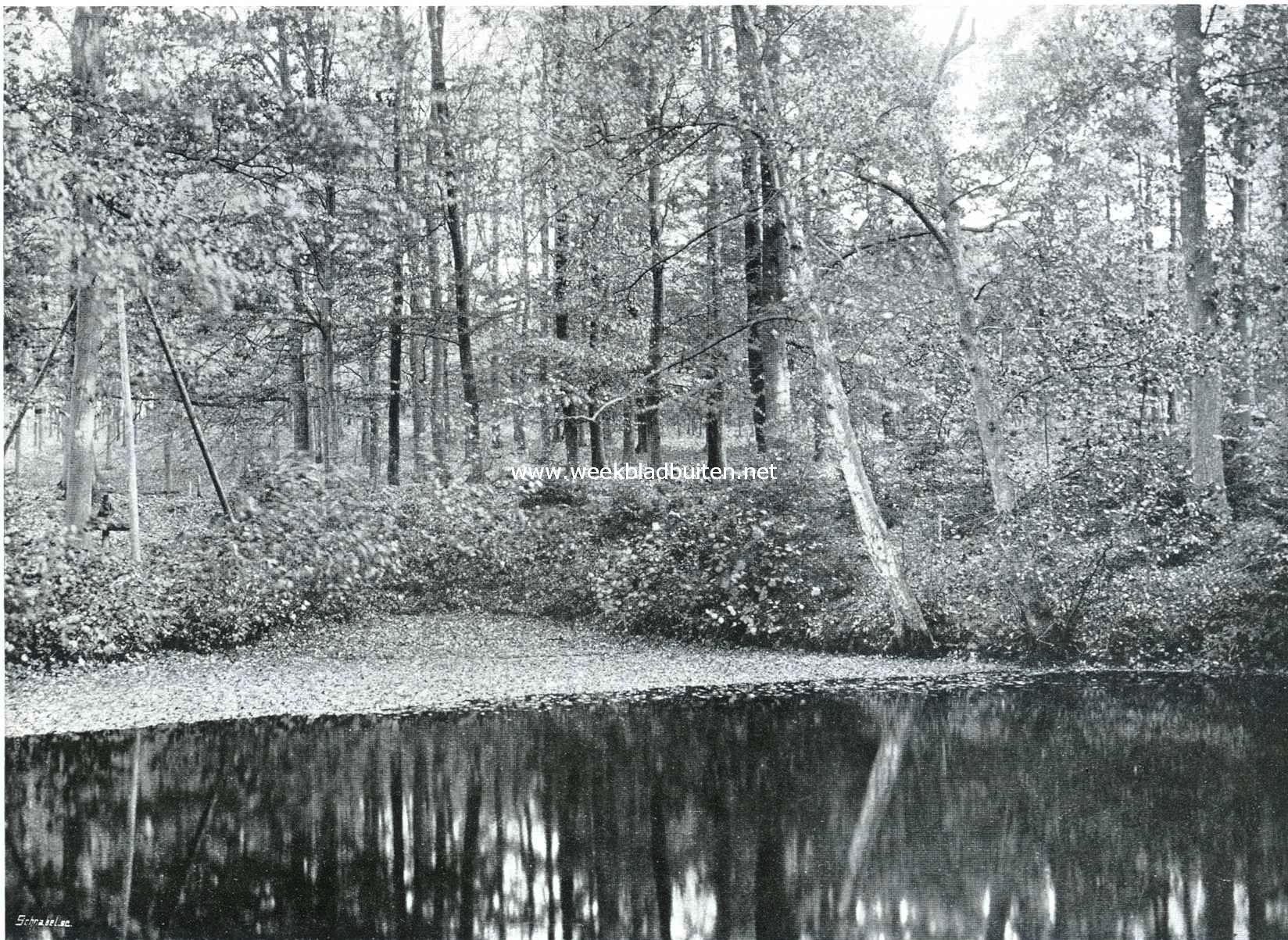 Openluchtmusea. Een mooi plekje aan een der groote boschvijvers op den Waterweg