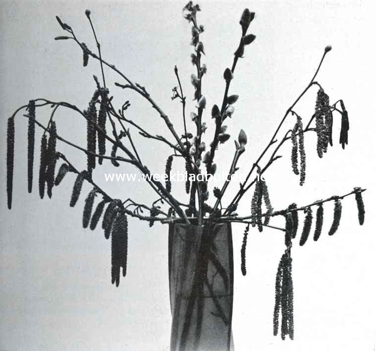Voorjaarsbouquet