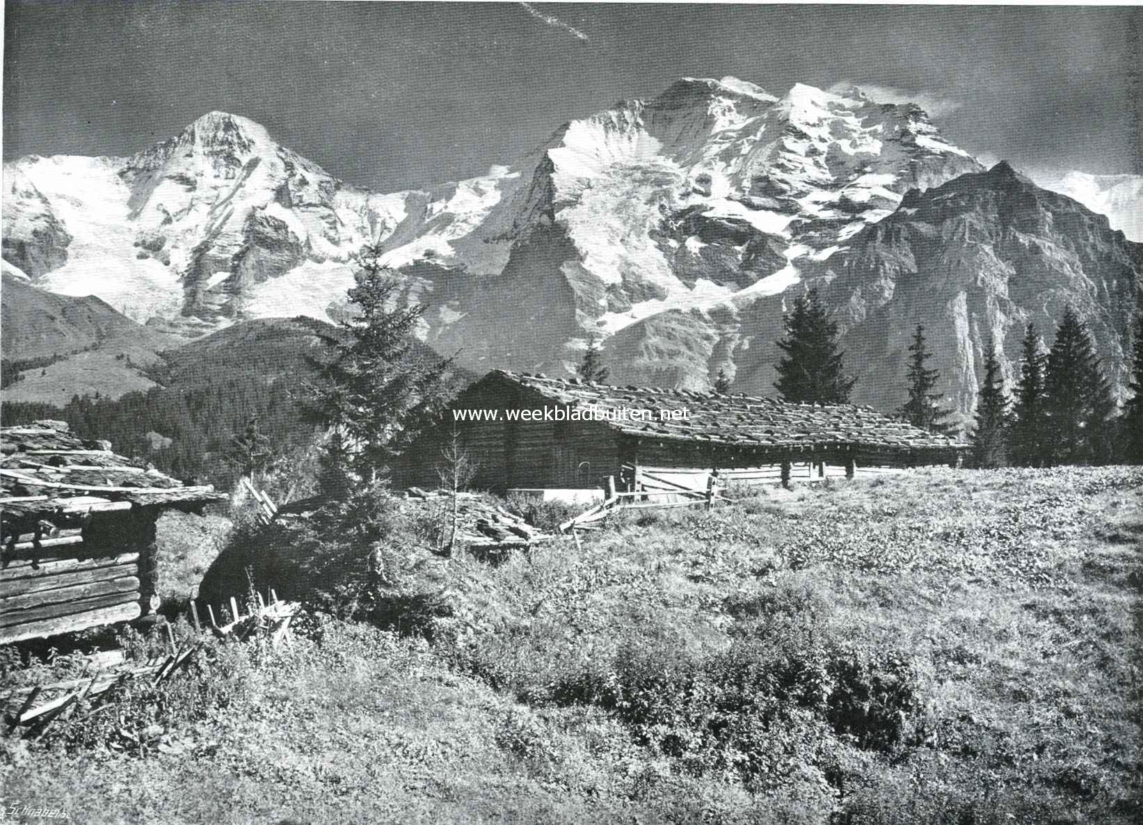 Bij Mrren, gezicht op Mnch en Jungfrau