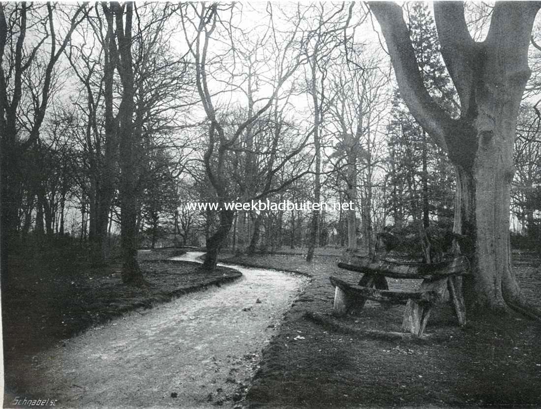Boschbeek. De bank van walvischribben in het park