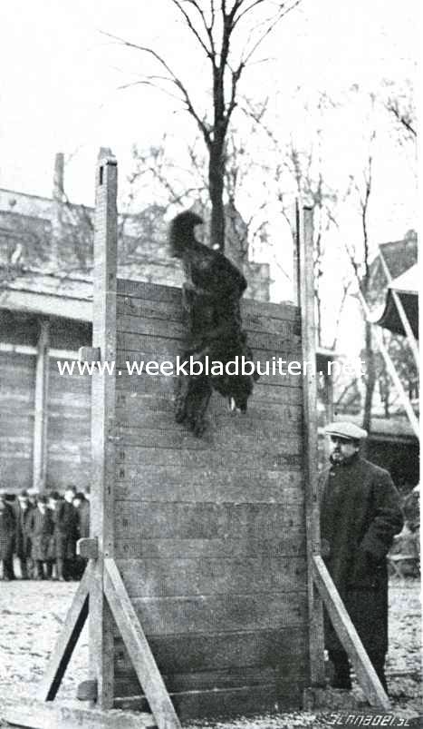 De Internationale Hondententoonstelling te Amsterdam, gehouden van 11 tot 13 April, in het Paleis voor Volksvlijt. 