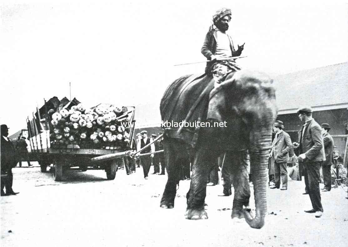 Aankomst van het circus Hagenbeck aan het Weesperpoortstation te Amsterdam, 9 Mei l.l. De olifant aan het werk