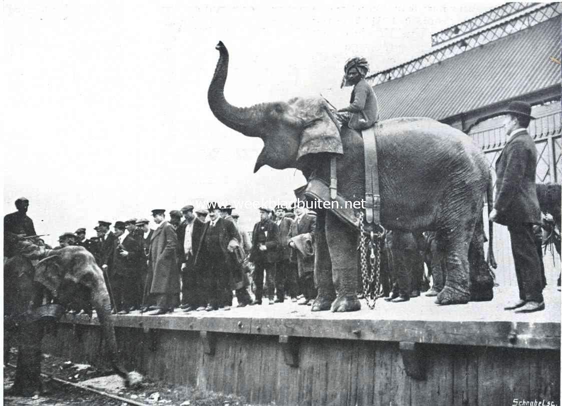 Aankomst van het circus Hagenbeck aan het Weesperpoortstation te Amsterdam, 9 Mei l.l. De eerste reizigers stappen uit