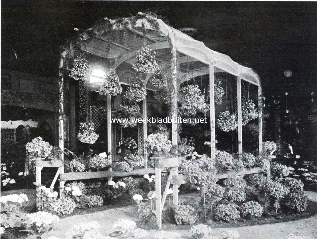 De tentoonstelling van artistieke planten- en bloemenversieringen te Amsterdam. Met begonia's versierde 