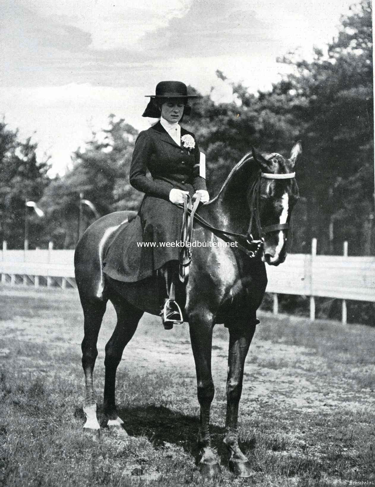 Het concours-hippique te Wageningen op 12 Juni l.l. ingericht door de Vereeniging tot Bevordering der Paardenfokkerij in Gelderland. Mevrouw van Rhede van der Goes, deelneemster in het nummer luxe-rijpaarden