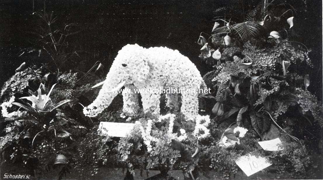 Tentoonstelling van bloemwerken ter gelegenheid van het 50-jarig bestaan van het Koninklijke Zologisch Botanisch Genootschap te 's Gravenhage. Fantasie-bloemstuk, ingezonden door de firma J. Buurman en zoon te Leiden, en bekroond met den eersten prijs