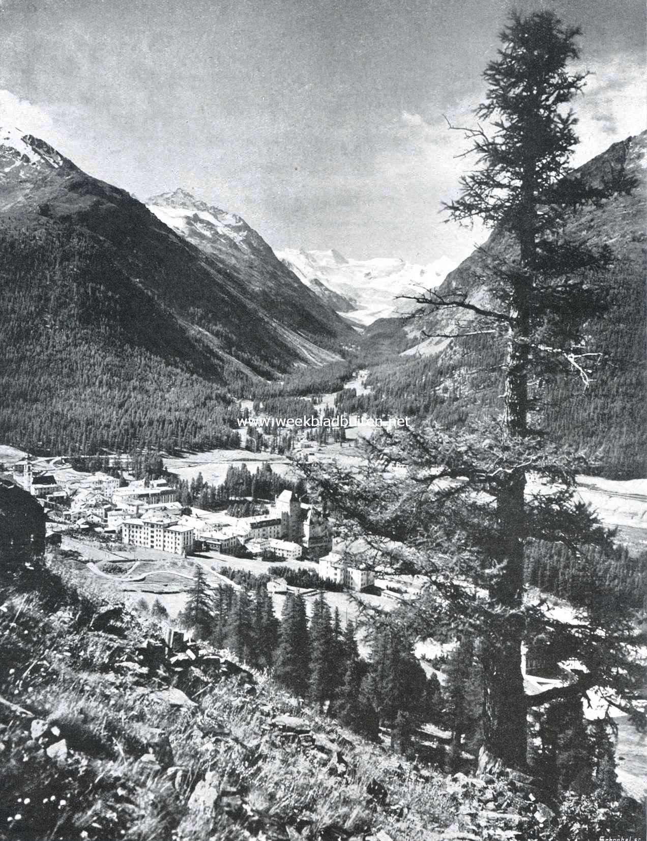 Gezicht op Pontresina en het Roseg-dal