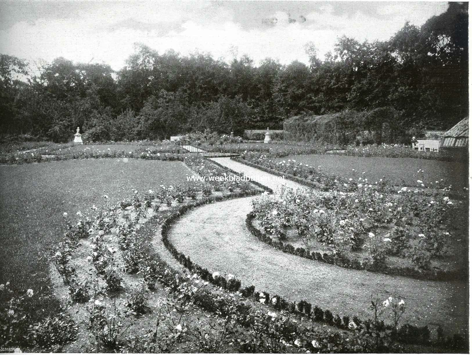 Schey-Beeck. Het rosarium