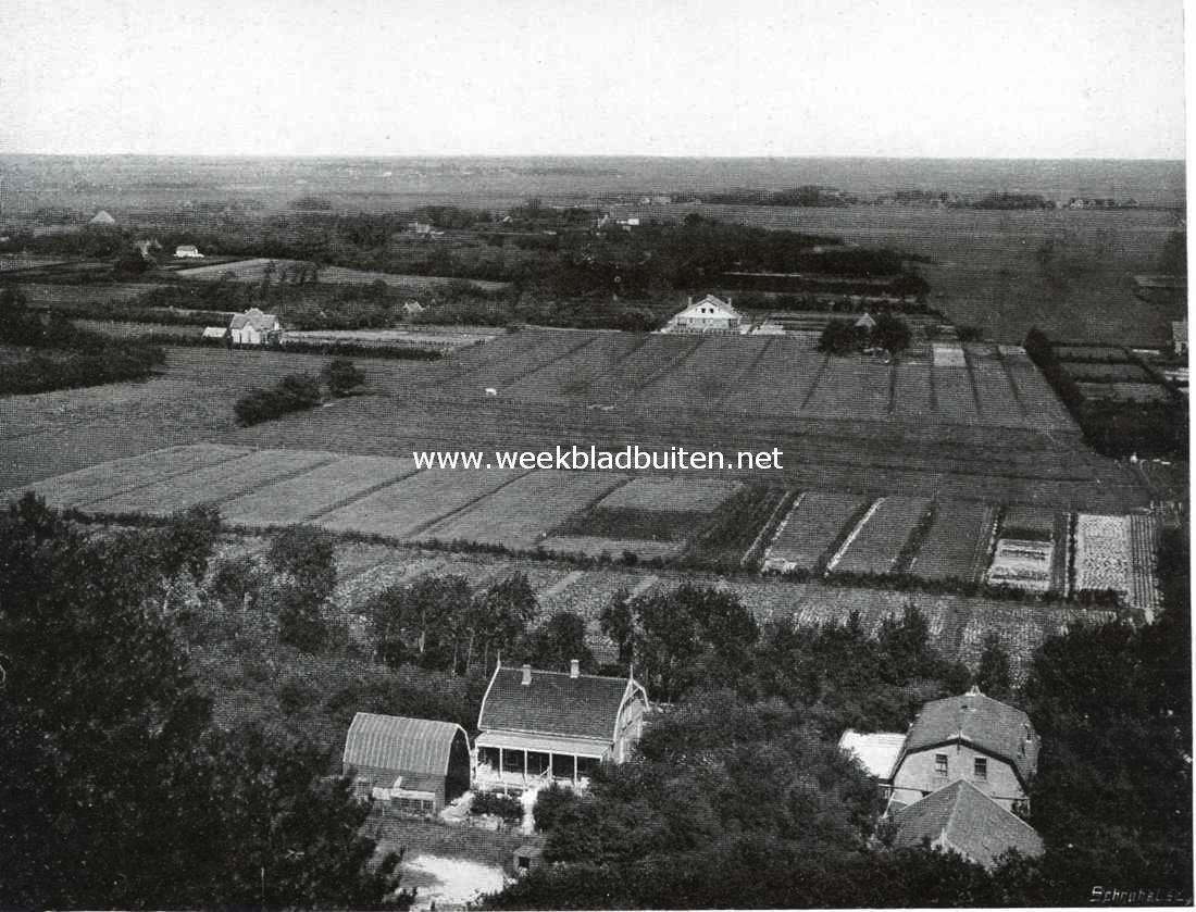 Bergen in Kennemerland. Gezicht van de duinen bij Schoorl op het vlakke polderland