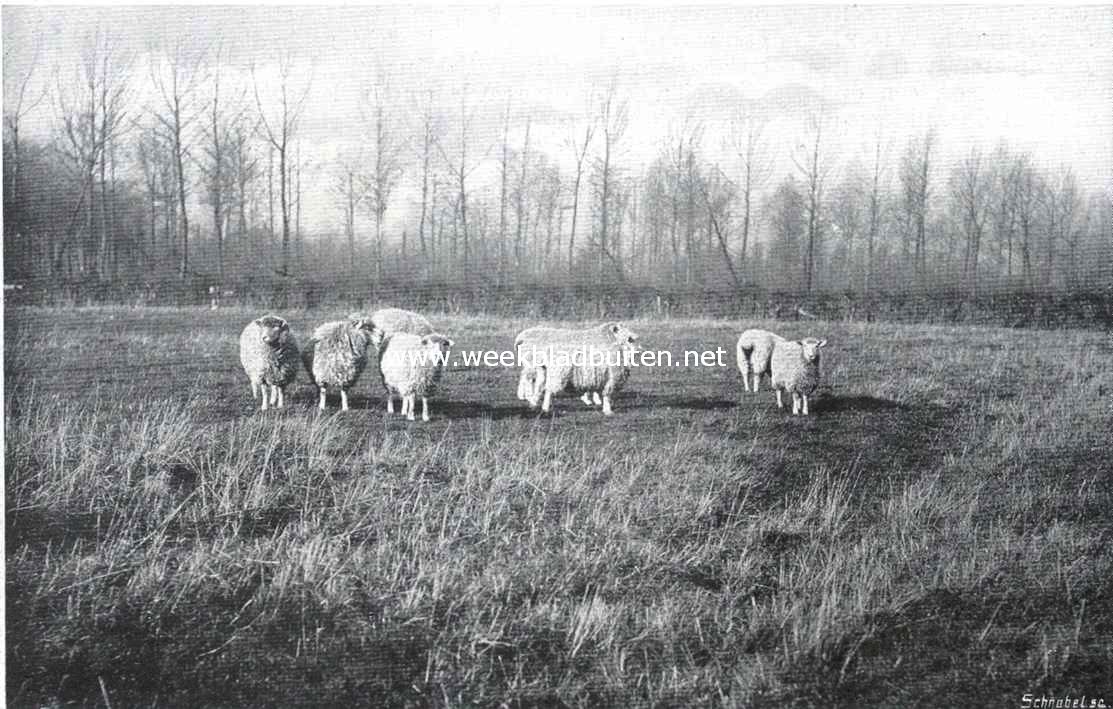 De landbouwonderneming 