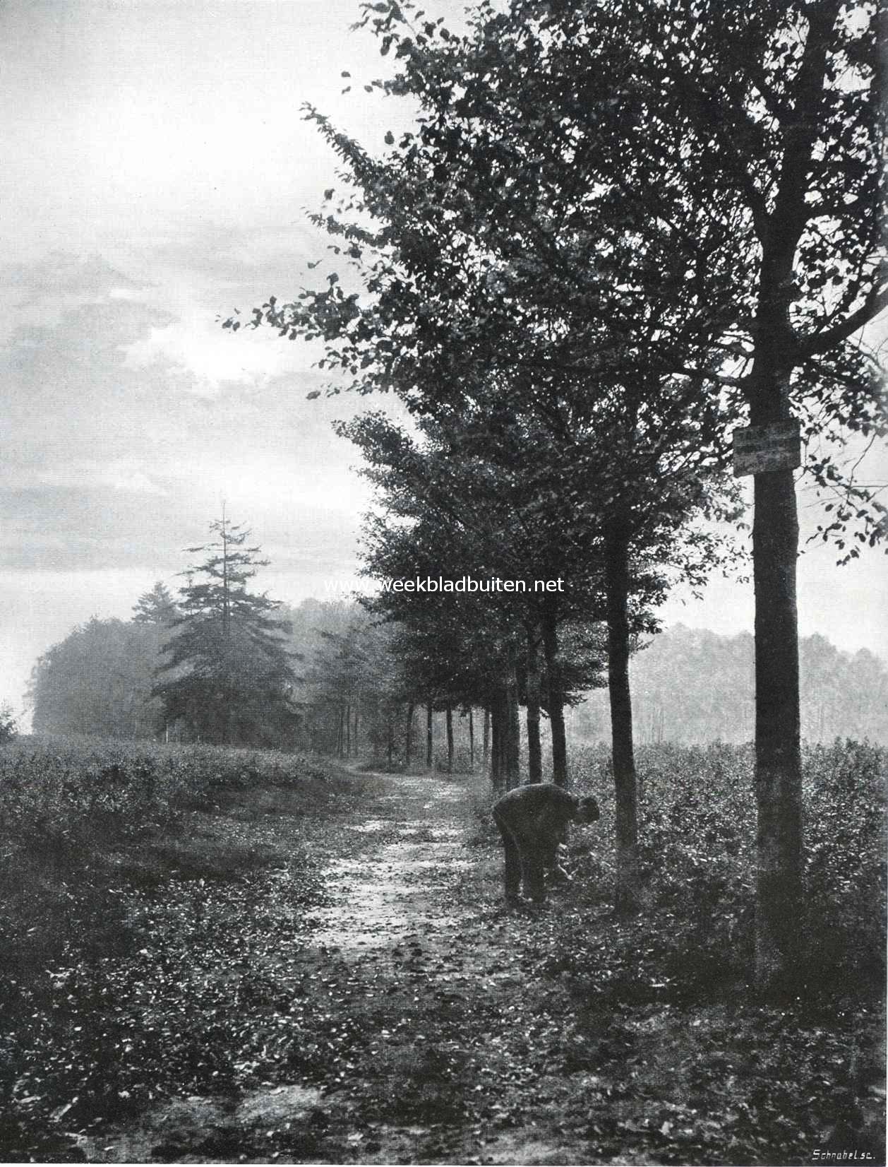 't Hoogt van 't Kruis te Hilversum. Laantje, voerende naar de Hoorneboegsche Heide