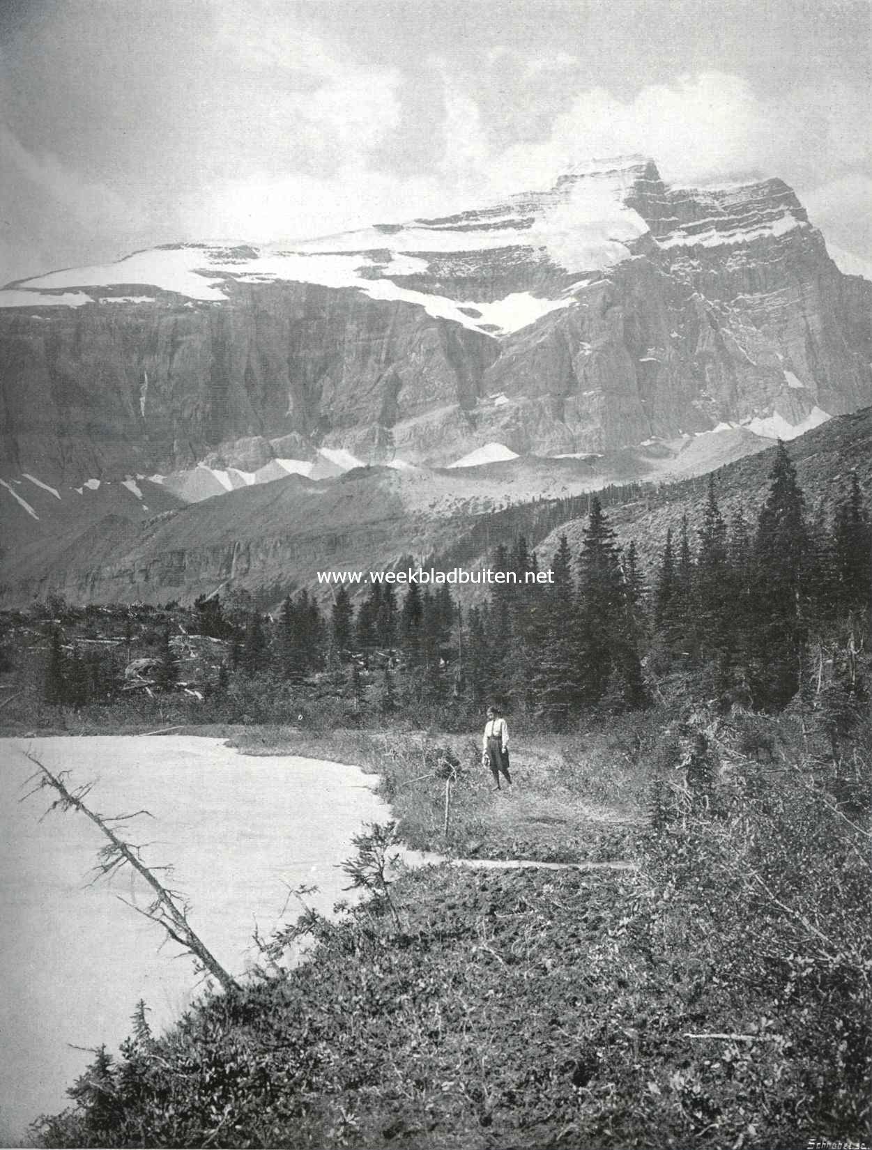 De Wittehorn en de Grand York-river in Canada