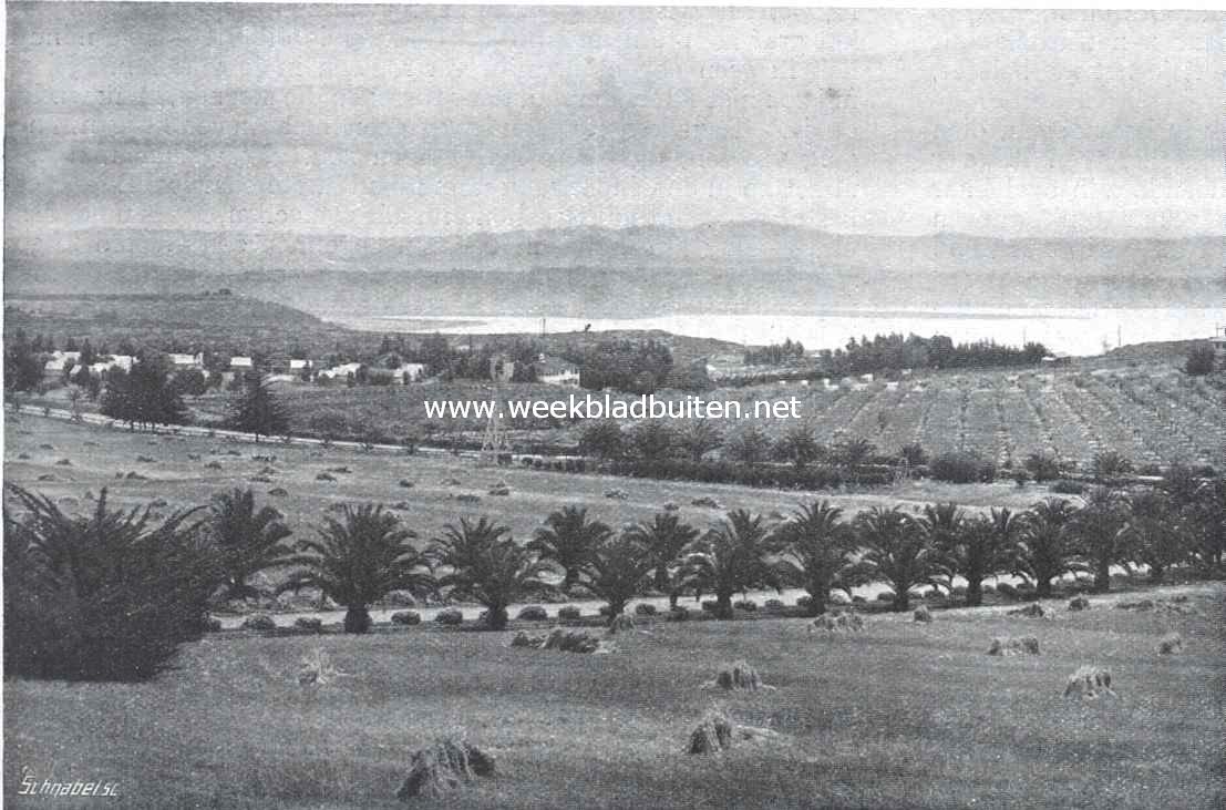 San Diego en Lomaland. Gezicht op het hoofdkwartier van de universeele broederschap en het theosophisch genootschap te Point Loma