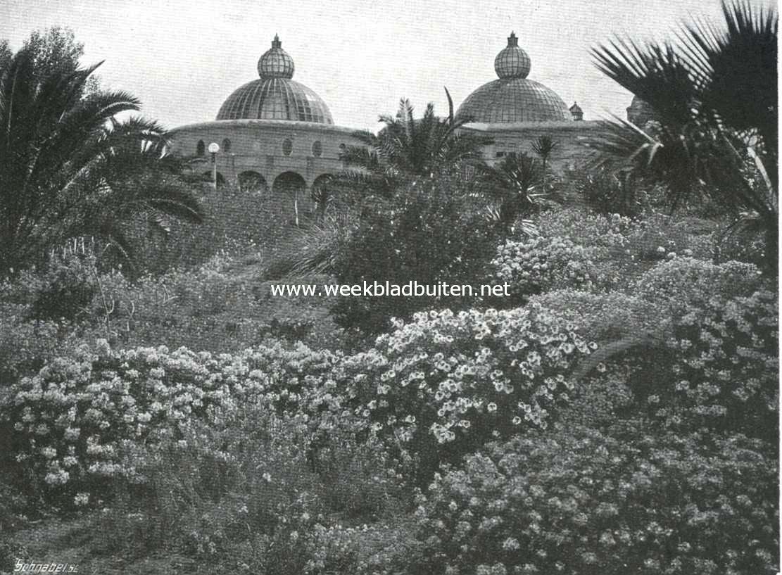 San Diego en Lomaland. Het hoofdkwartier van het theosophisch genootschap te Point Loma, oprijzend uit een weelde van bloemen en planten