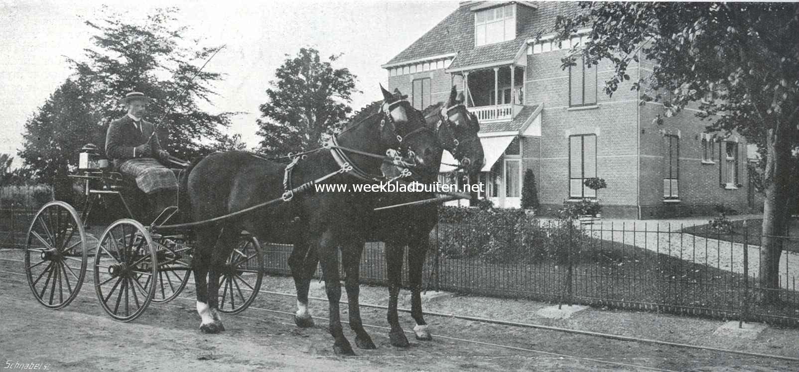 Een Nederlandsche rasvee-fokkerij. Span hengsten Fashion en Canrobert. Beide paarden gaan met verbazend veel actie, temperament en snelheid, en zijn daarbij zeer mak