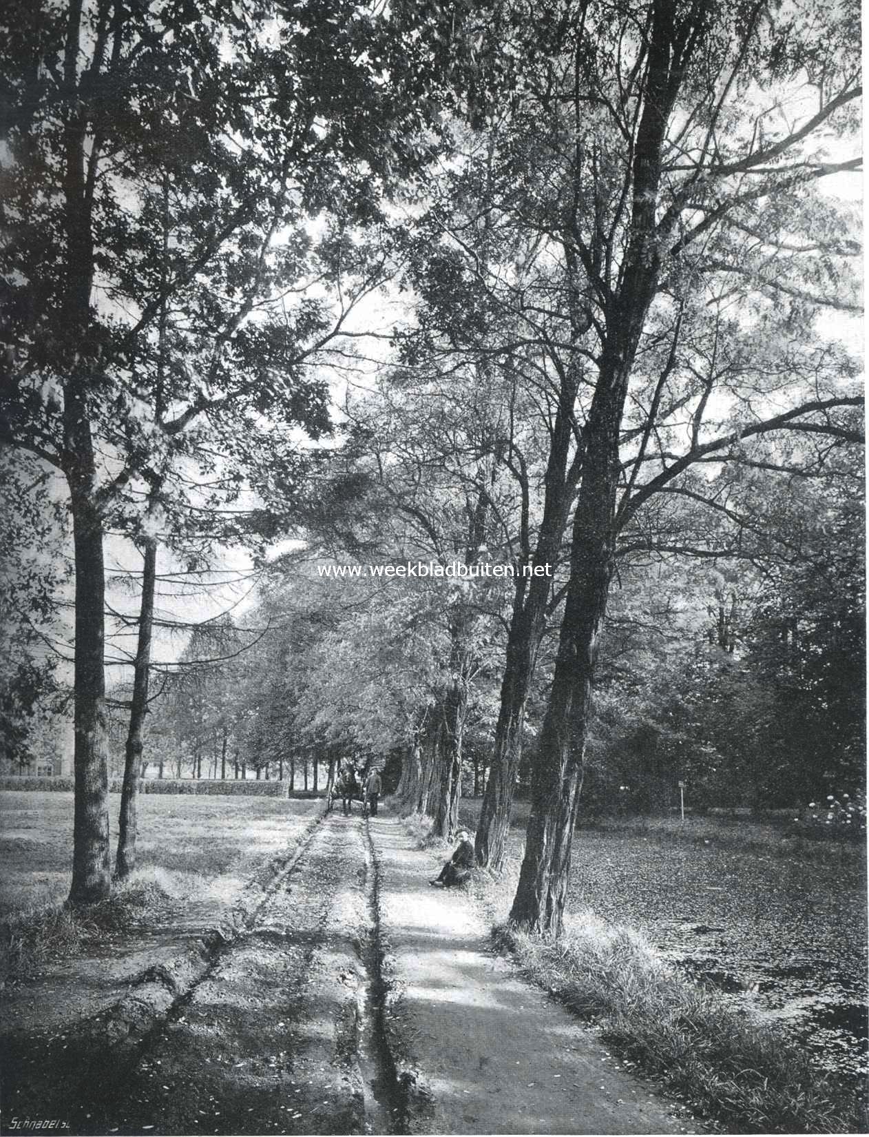 Laantje bij de 