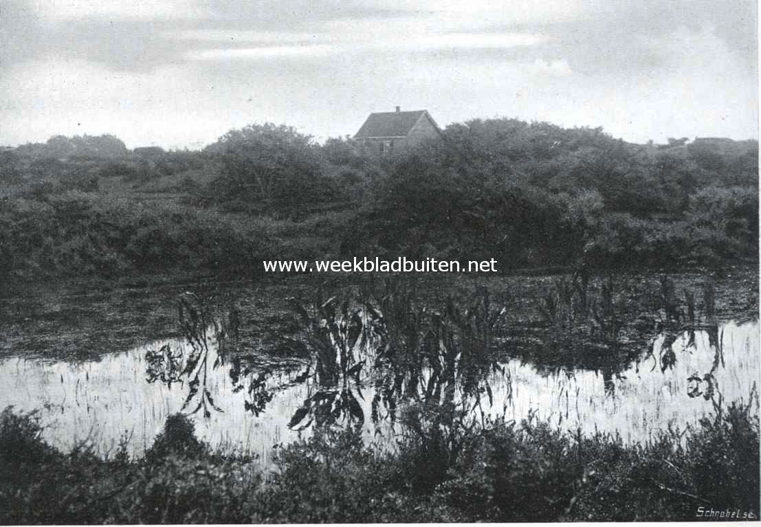 Een mooi plekje in de duinen van Voorne 2
