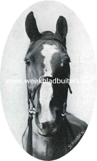 Oogkleppen. Vrij gezichtsveld