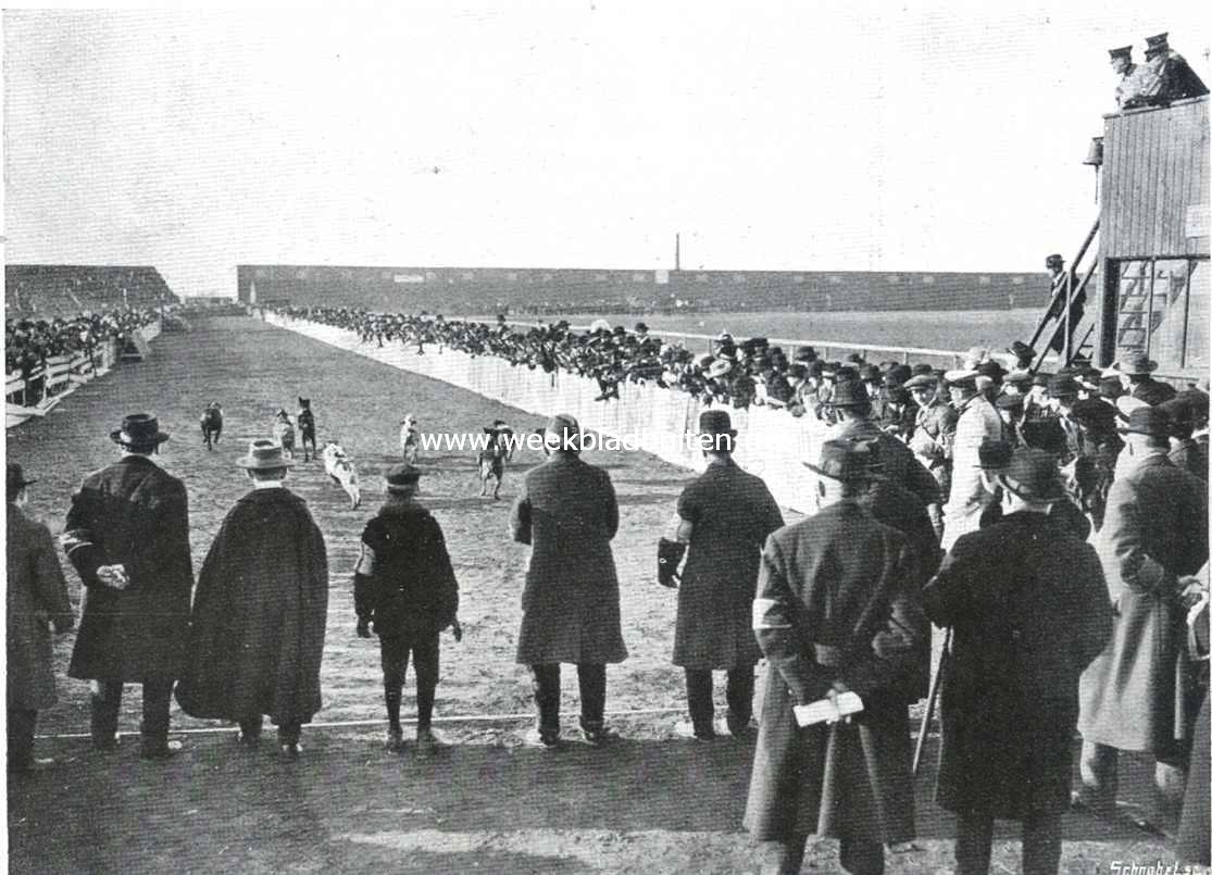 De rennen voor rashonden op het vliegterrein Mockau bij Leipzig op 1 Maart l.l. De jachthonden op de renbaan