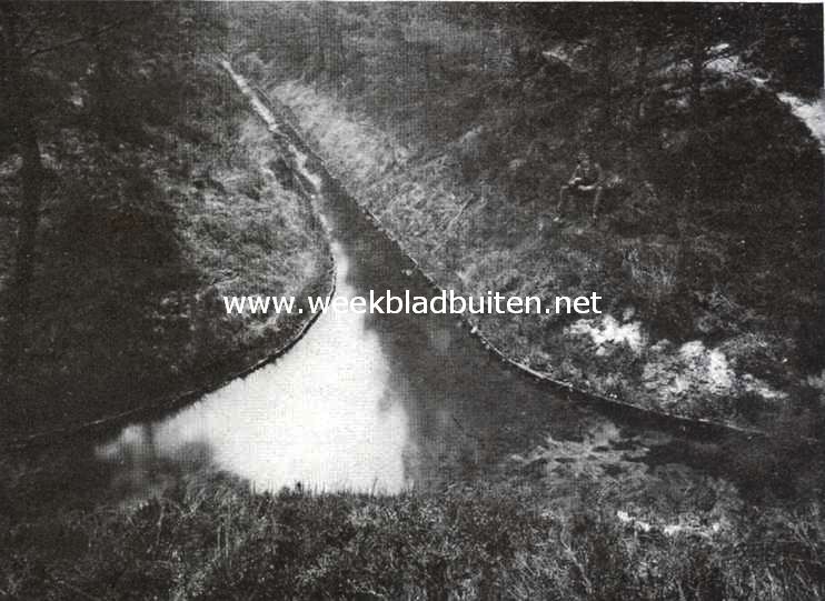 De Vischkweekerij 