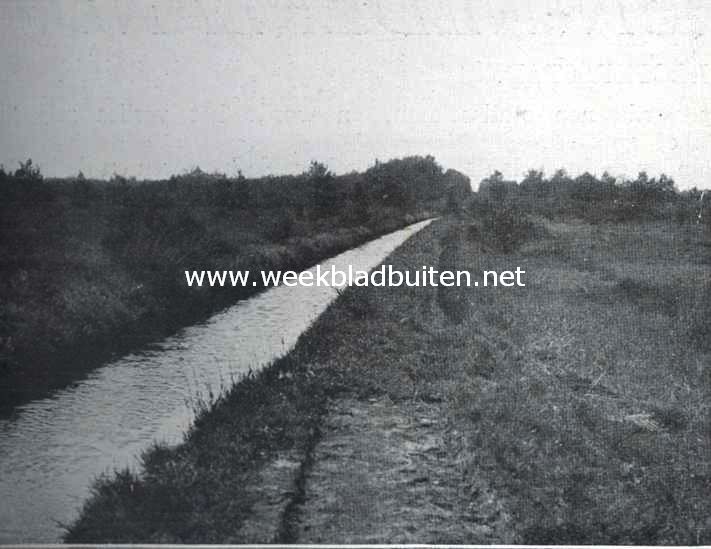De Vischkweekerij 