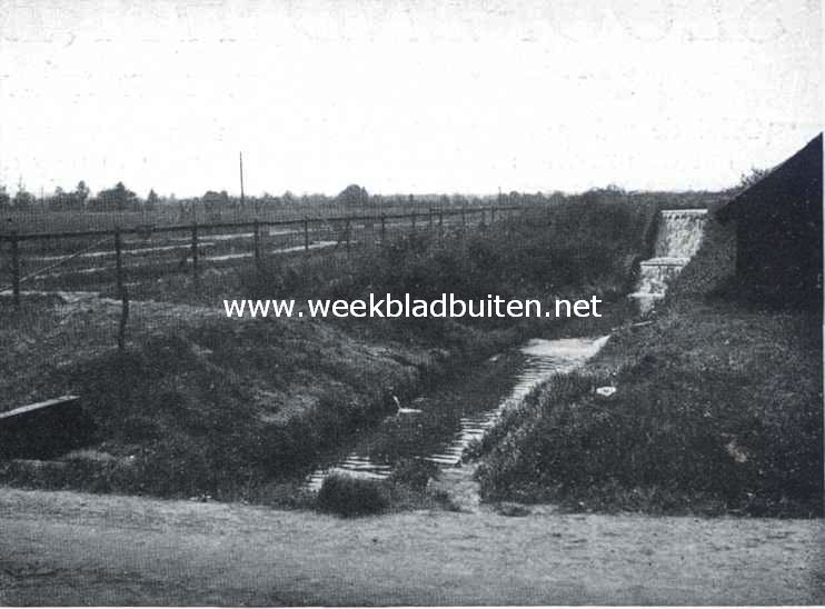 De Vischkweekerij 