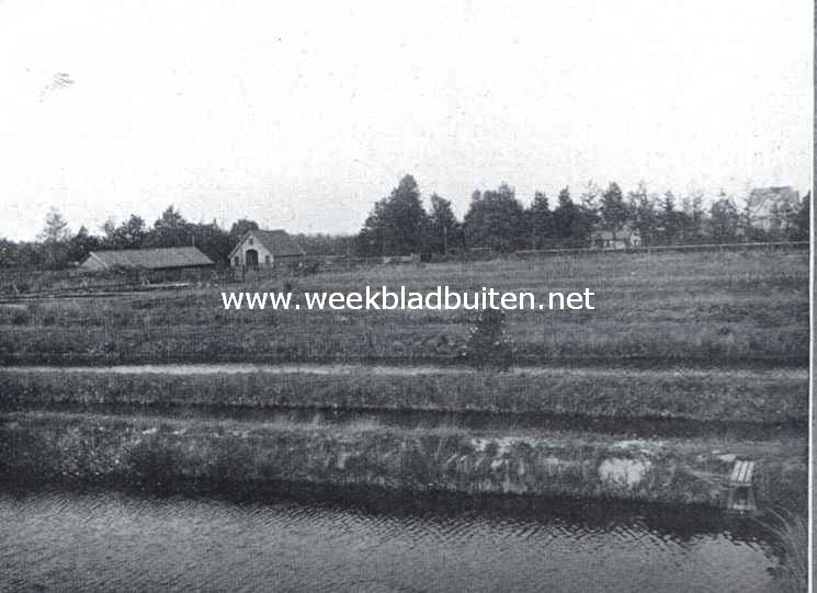 De Vischkweekerij 