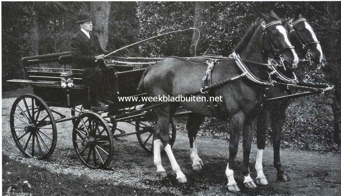 De jonge vossen van mej. Ensched te Santpoort zonder oogkleppen en opzetteugel. Een voorbeeld ter navolging