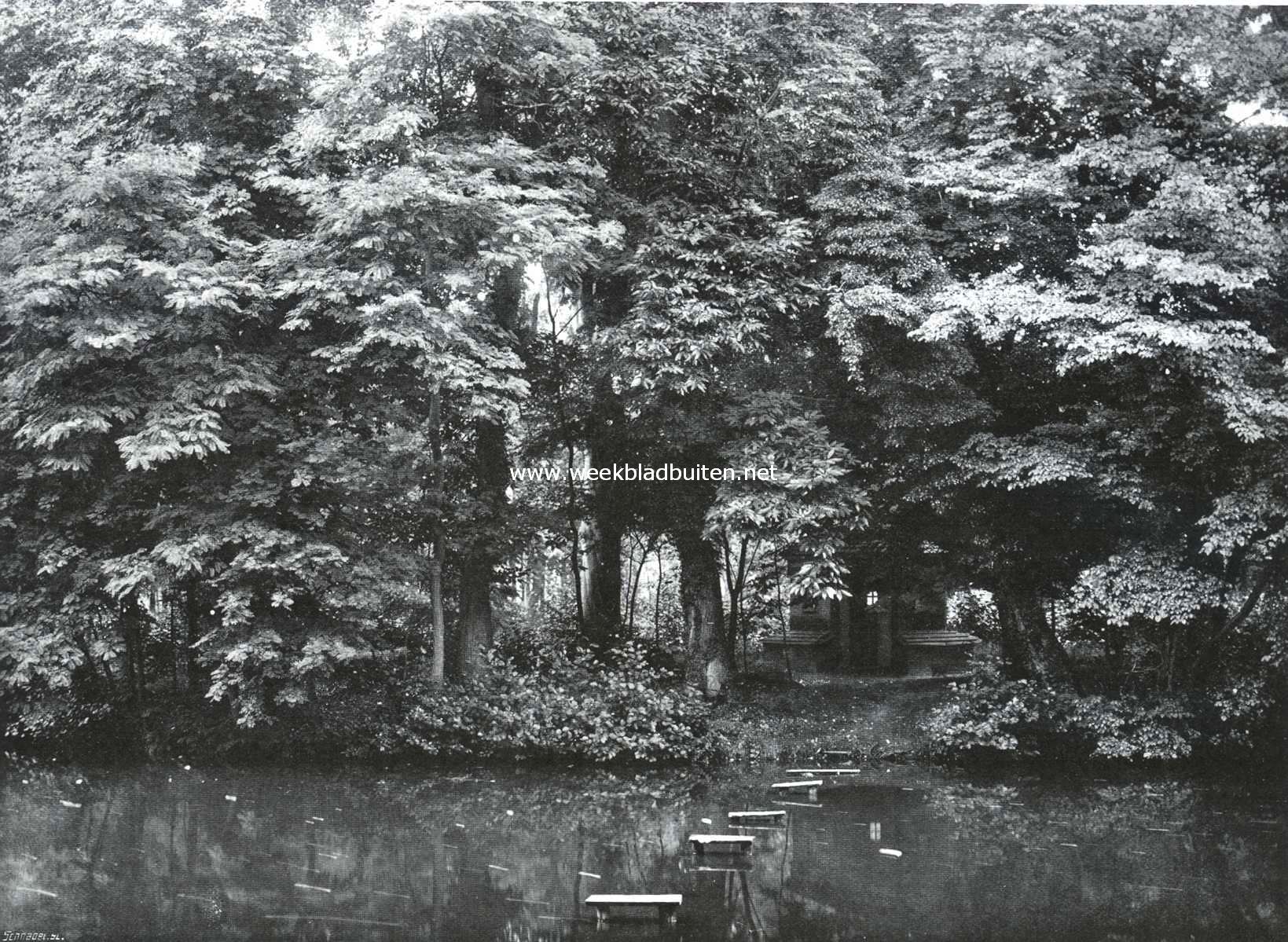 Het kasteel Biljoen. Het broed-eiland der ganzen in het park van kasteel Biljoen